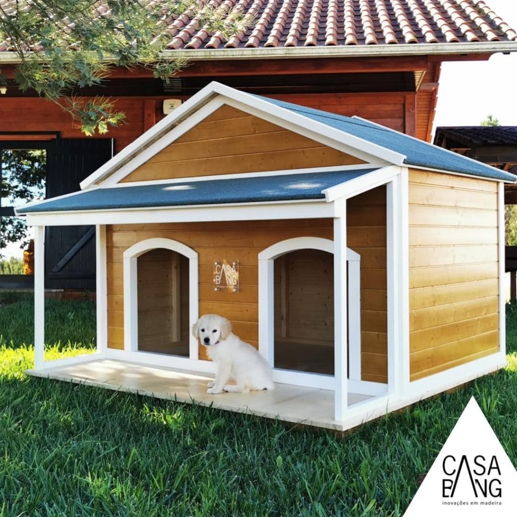 312230474_5698894793504547_4496771987811912339_n