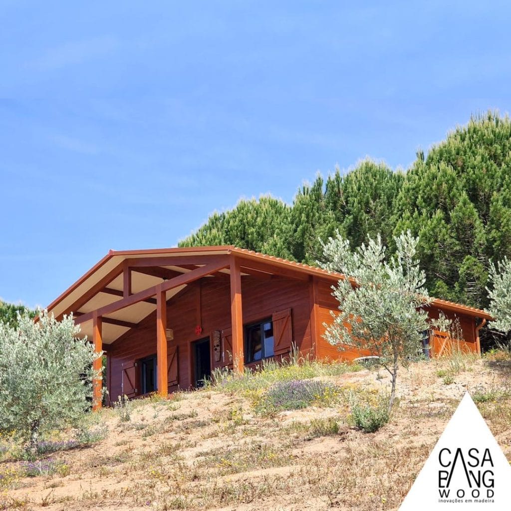 349914325_965299814922778_303738317457950231_n